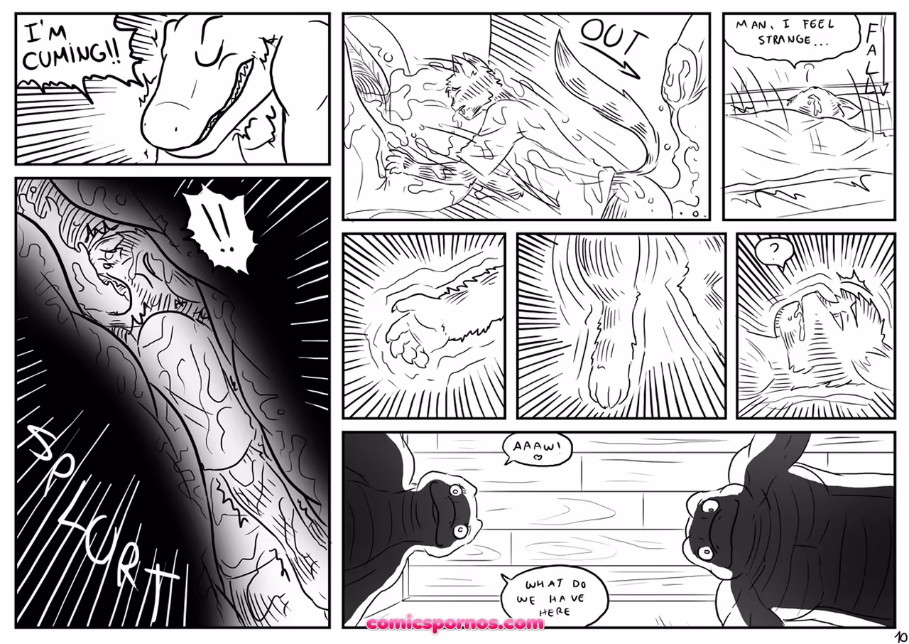 Alpha 6 - page 11
