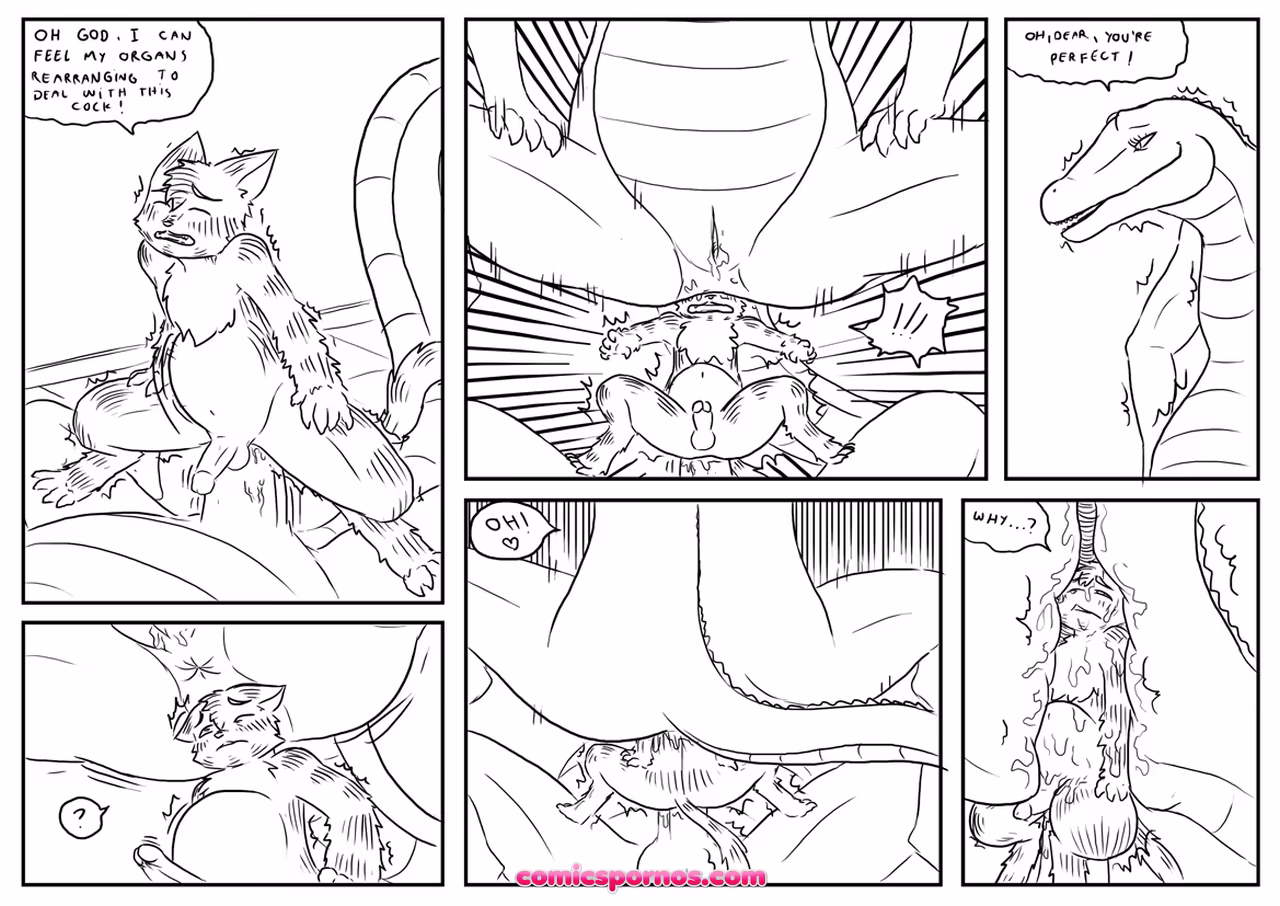 Alpha 6 - page 13