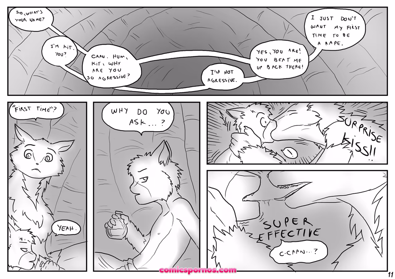 Kit 1 - page 11