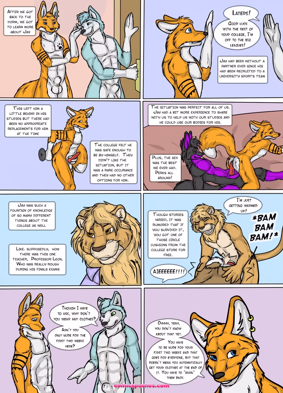 KNOT University 1 - page 11