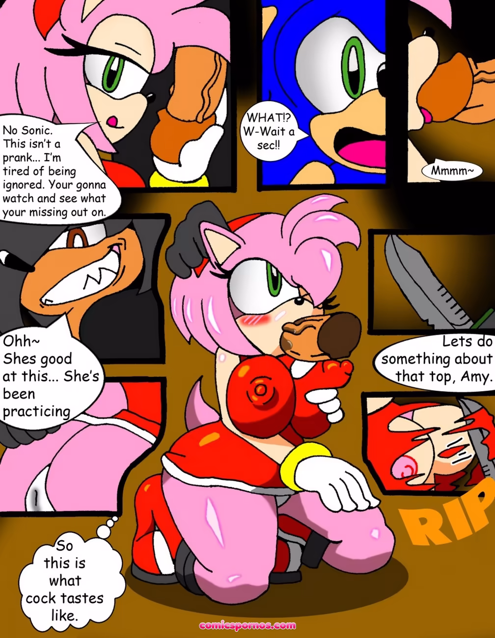 Amy Rose Paybacks A Rose - page 5