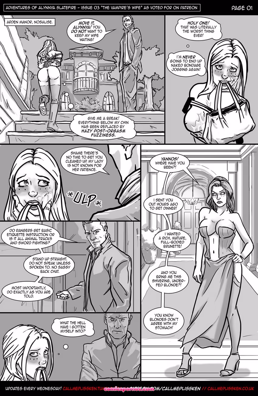 Adventures Of Alynnya Slatefire 3 - page 2
