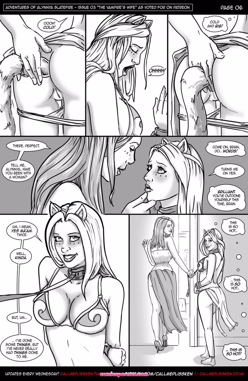 Adventures Of Alynnya Slatefire 3 - page 7