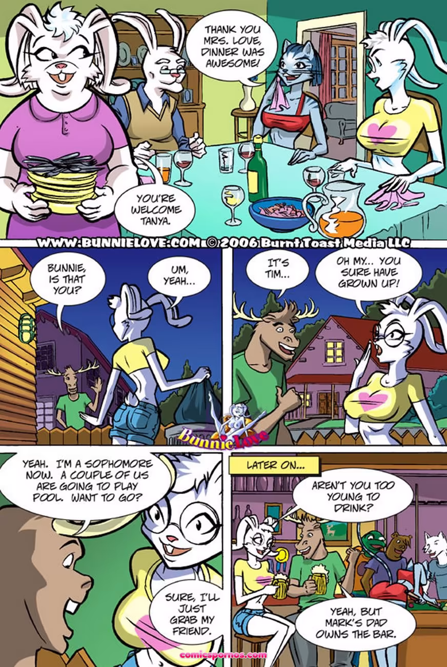 Bunnie Love 6 - page 19