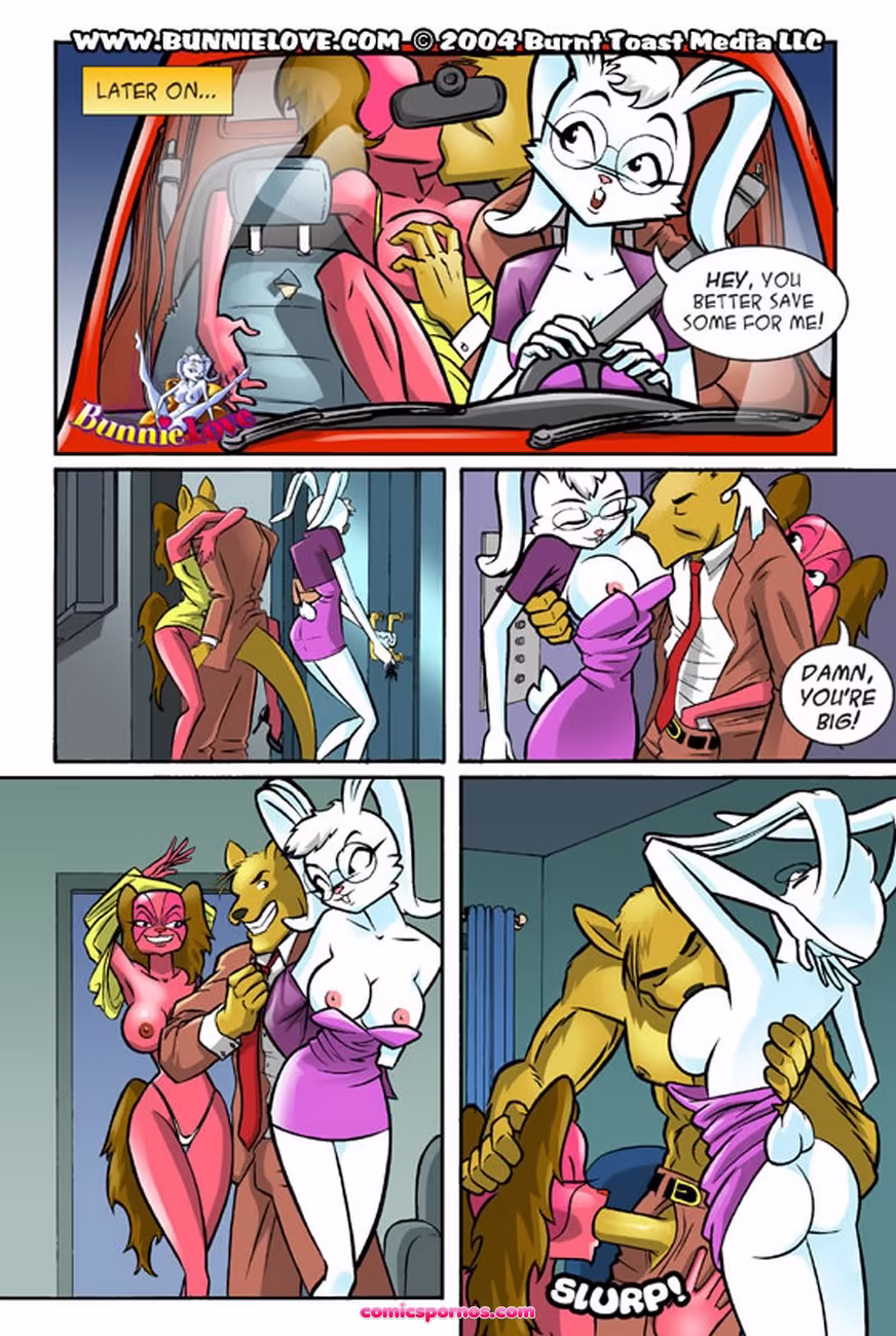 Bunnie Love 4 - page 14