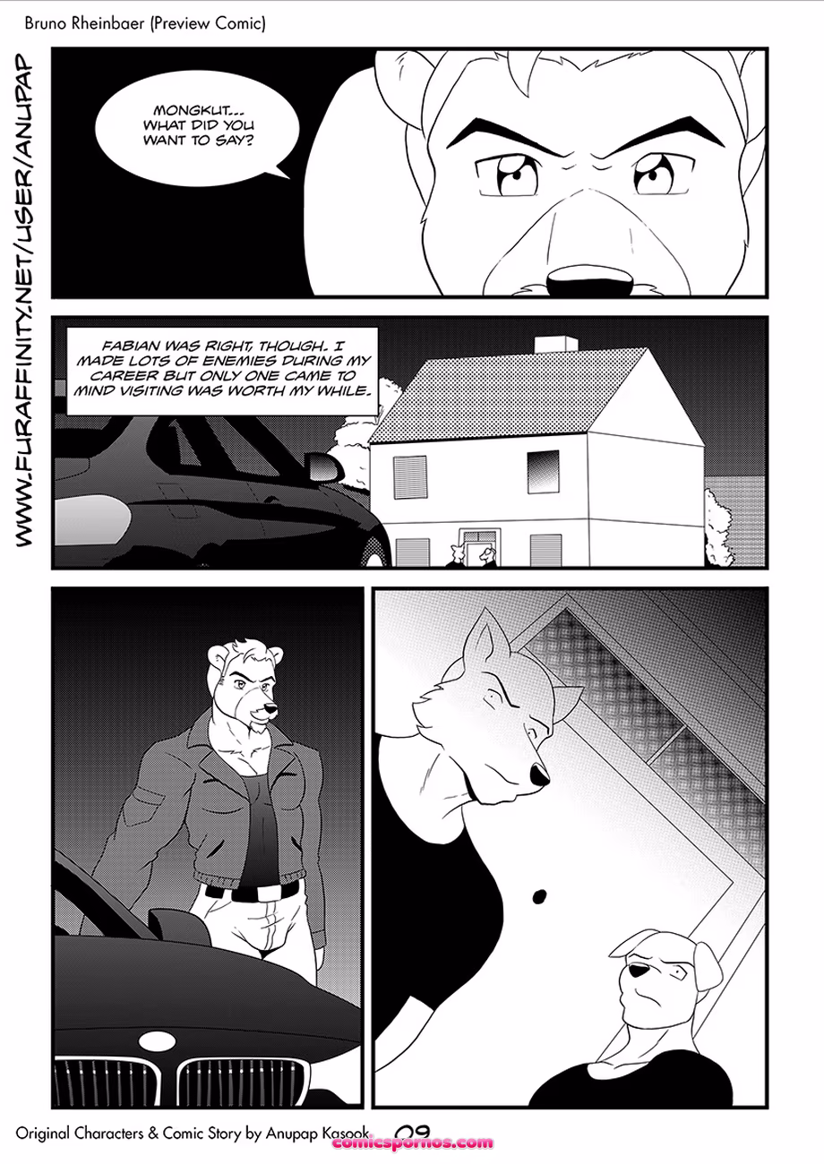 Bruno Rheinbear - page 10