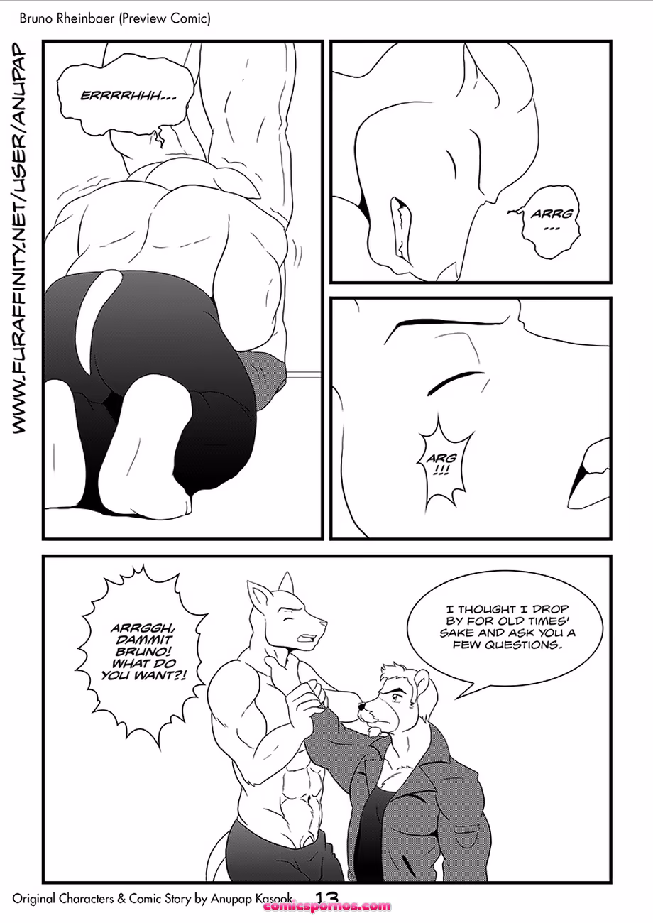 Bruno Rheinbear - page 14