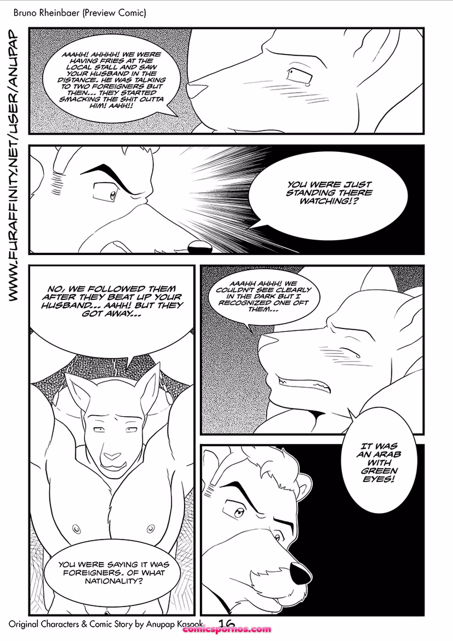 Bruno Rheinbear - page 17