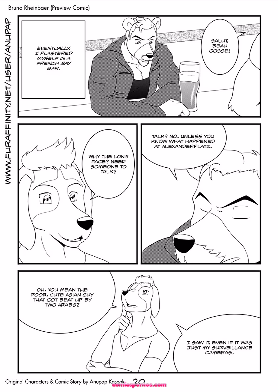 Bruno Rheinbear - page 21