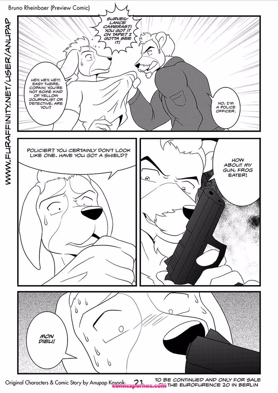 Bruno Rheinbear - page 22