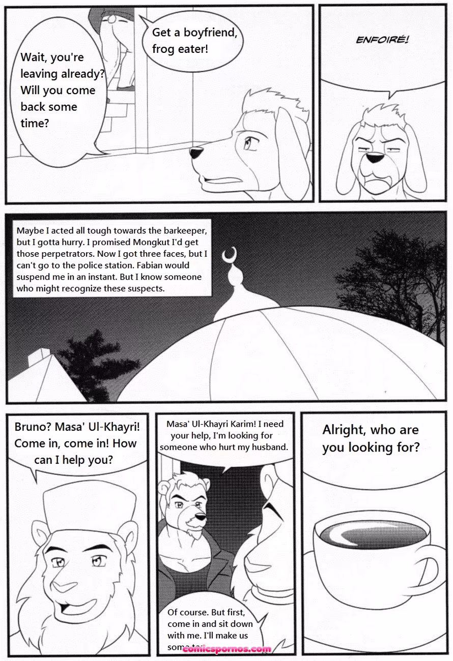 Bruno Rheinbear - page 26
