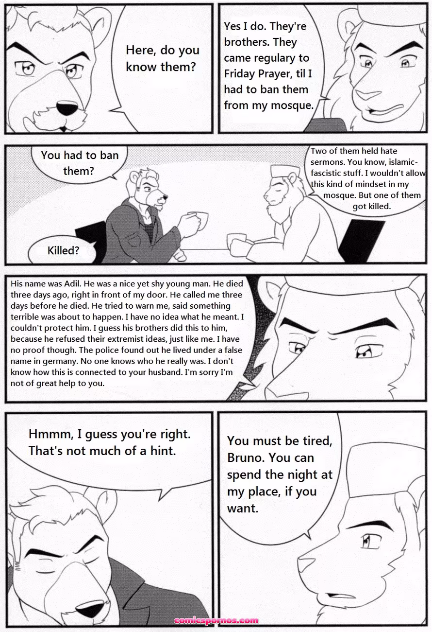 Bruno Rheinbear - page 27