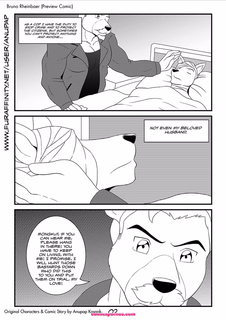 Bruno Rheinbear - page 3