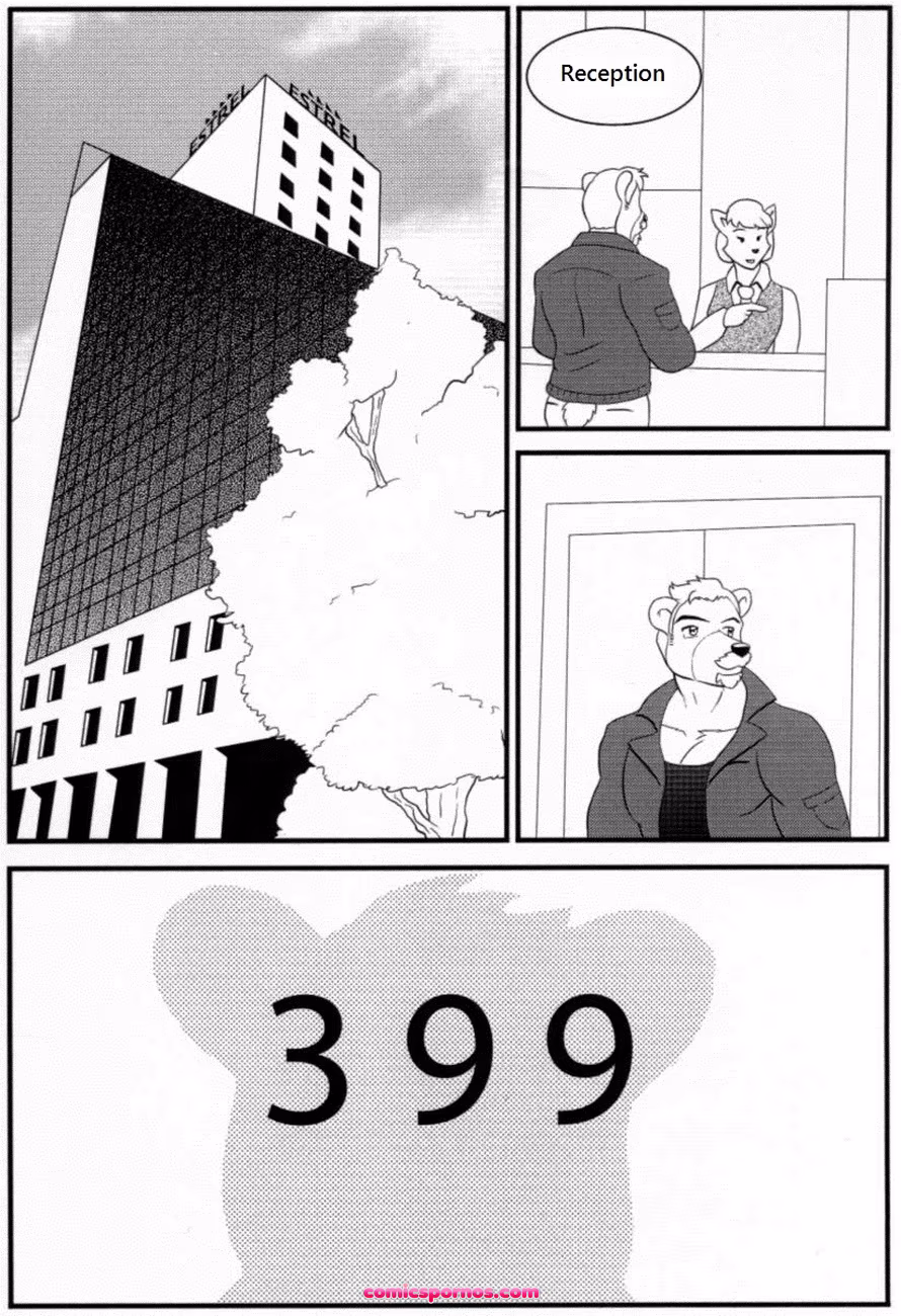 Bruno Rheinbear - page 31