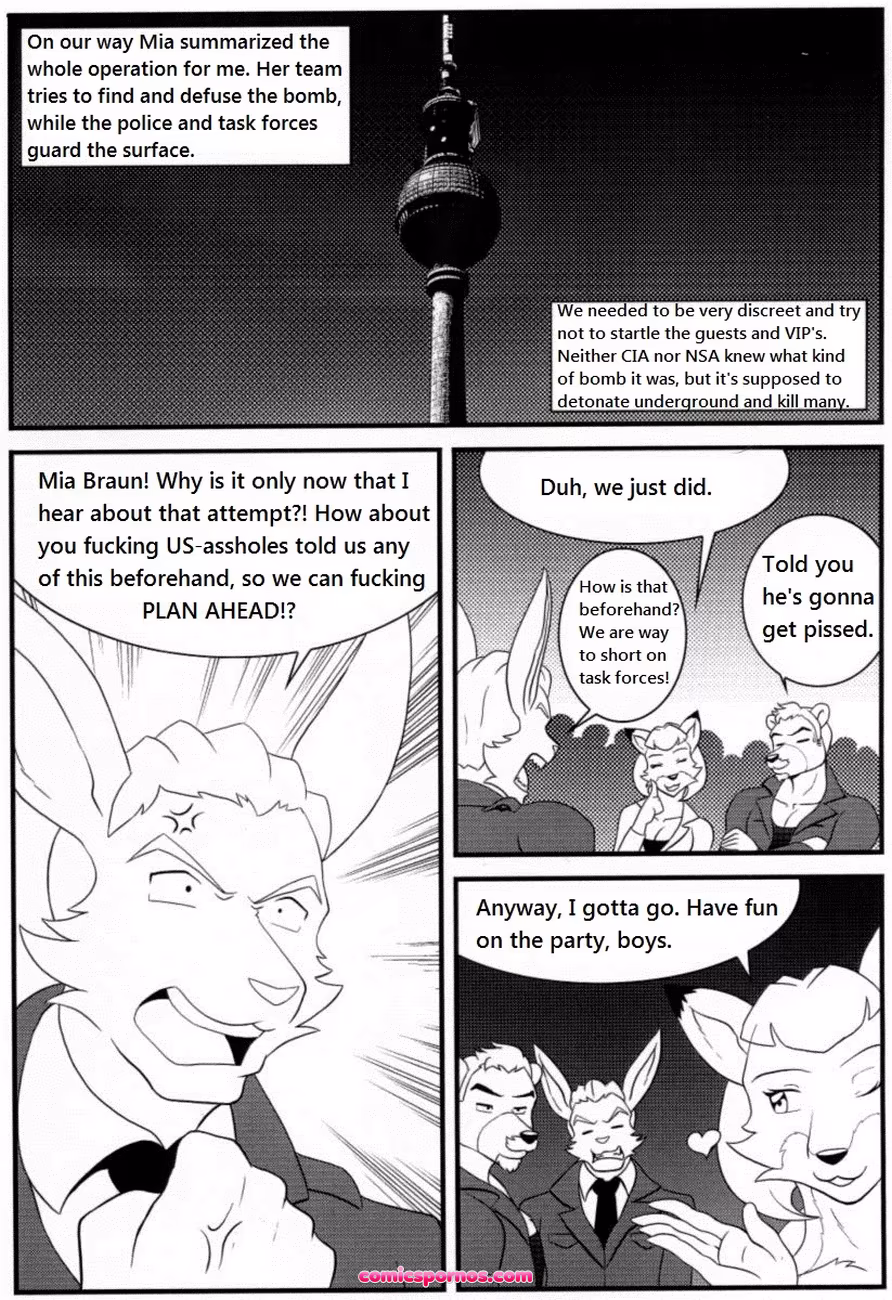 Bruno Rheinbear - page 40