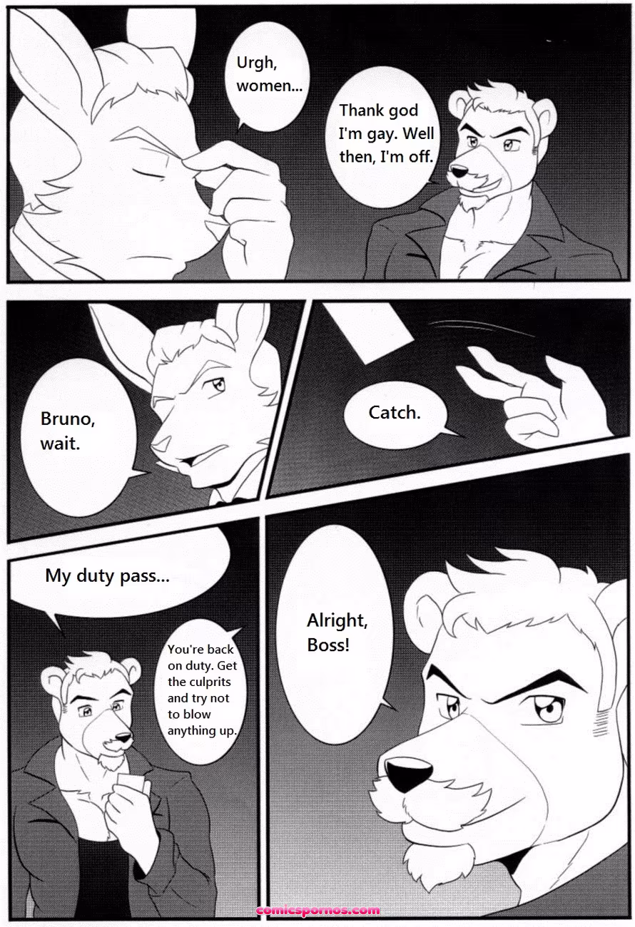 Bruno Rheinbear - page 41