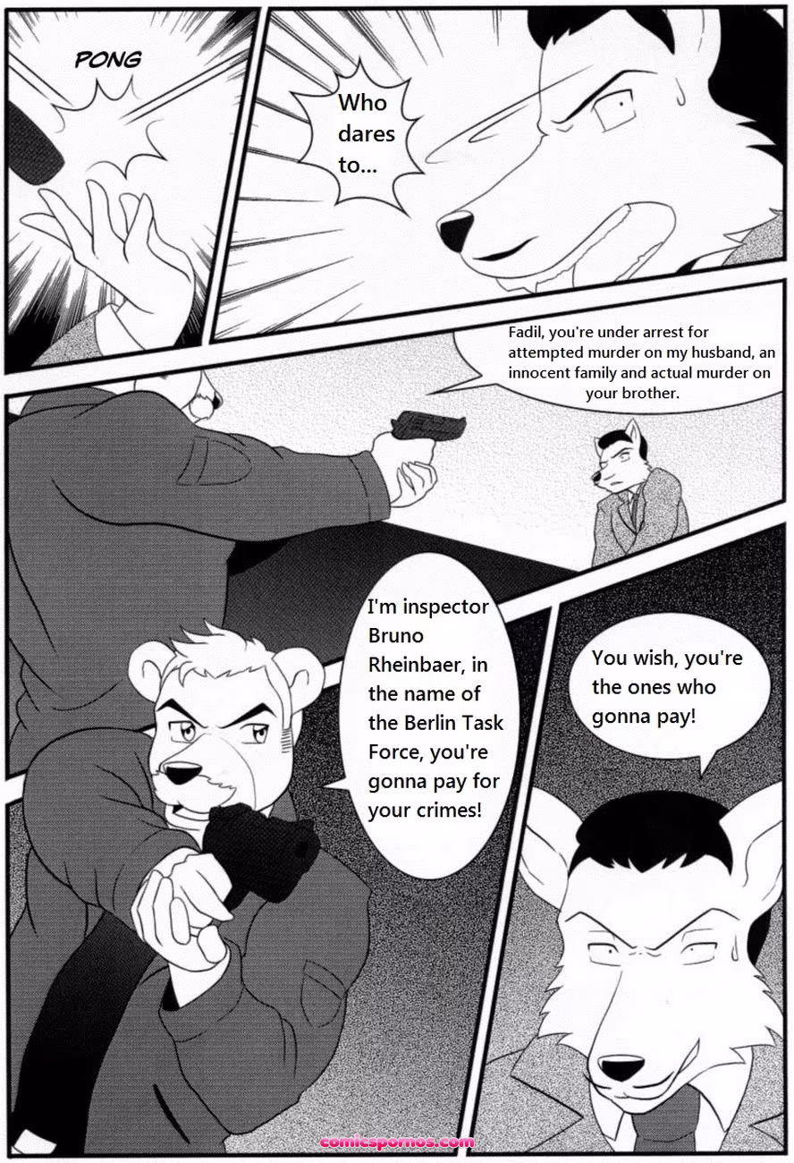 Bruno Rheinbear - page 47