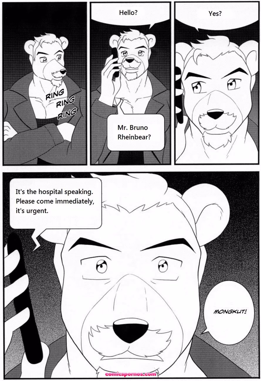 Bruno Rheinbear - page 55