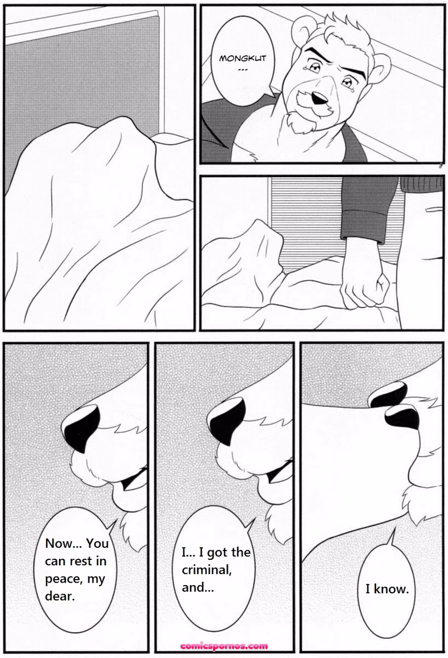 Bruno Rheinbear - page 57