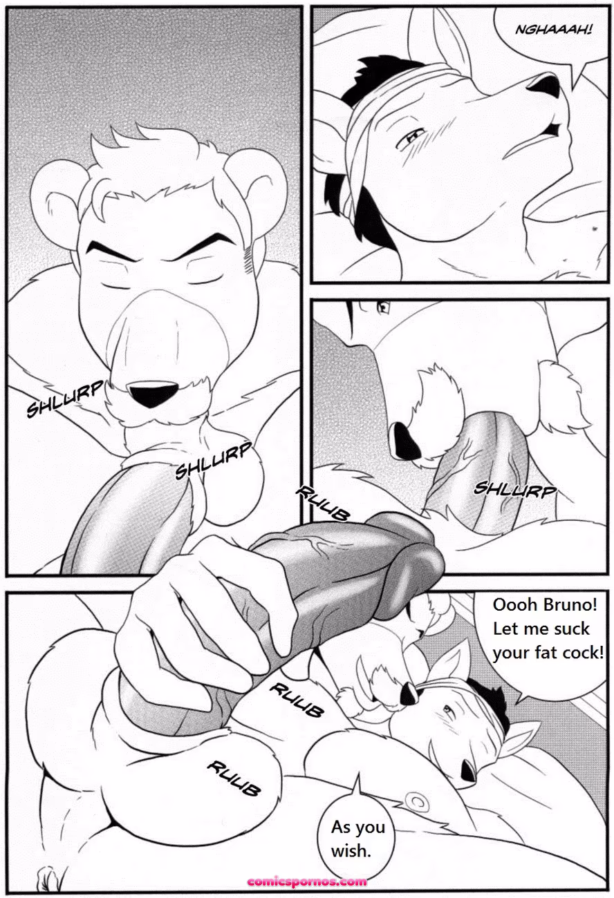 Bruno Rheinbear - page 59