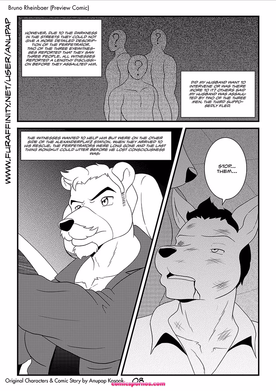 Bruno Rheinbear - page 9