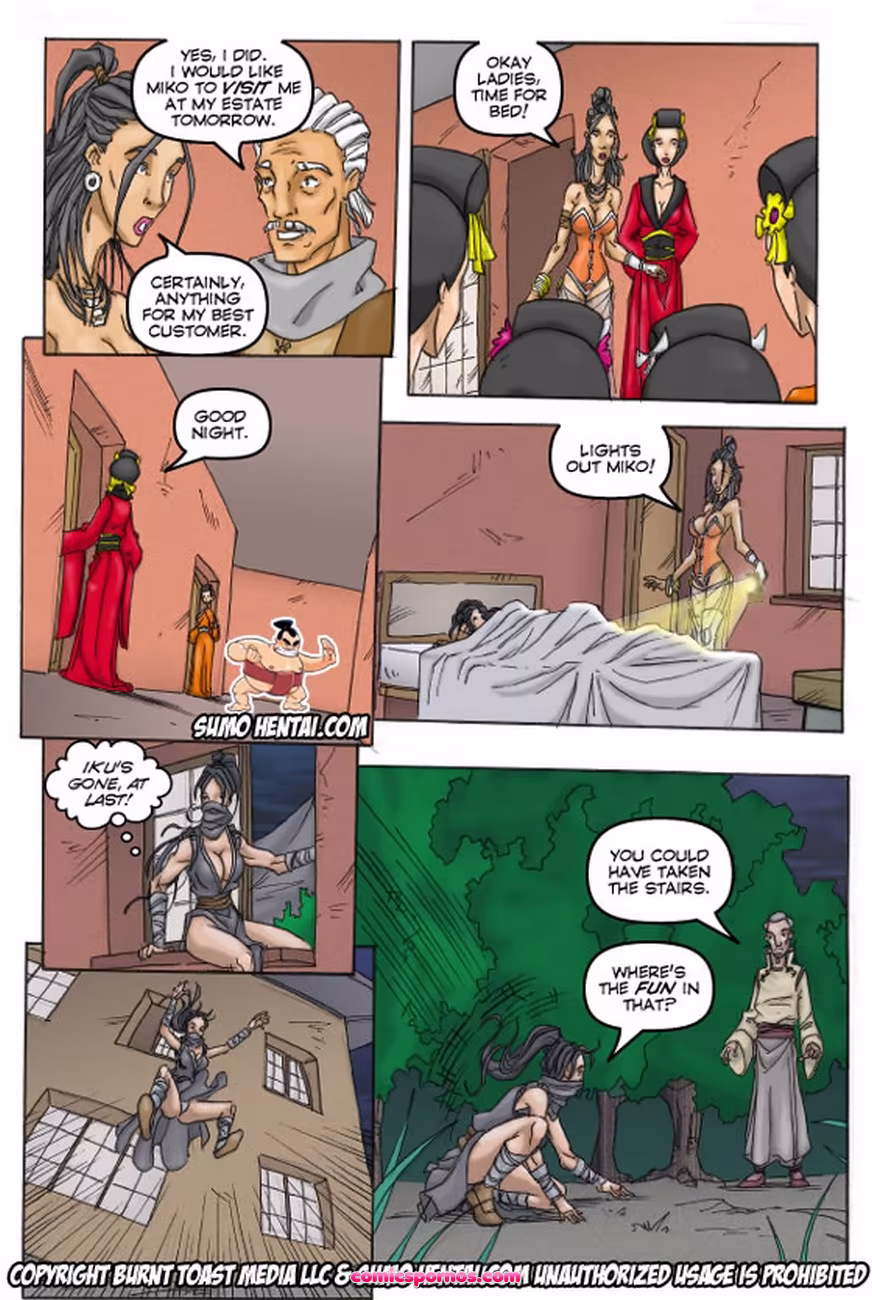 Geisha Chronicles 1 - page 9