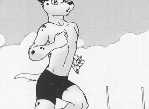 Lapping The Competiton