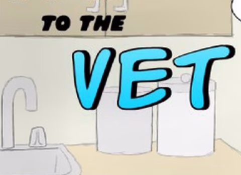 A Trip To The Vet