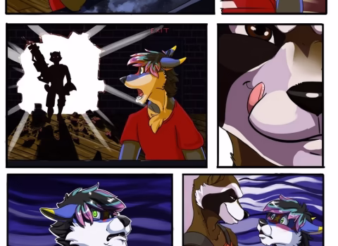 Clash Of The Raccoon